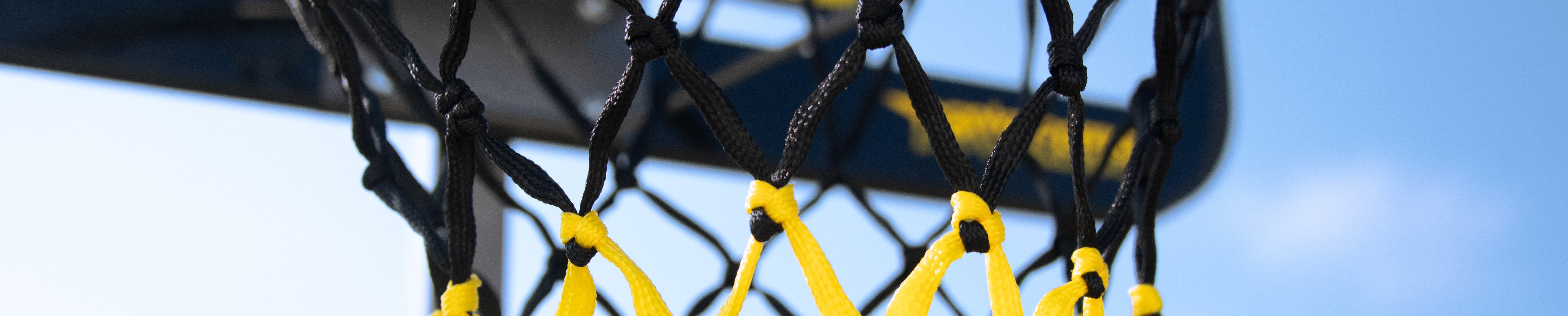 Paniers de basket d'intérieur