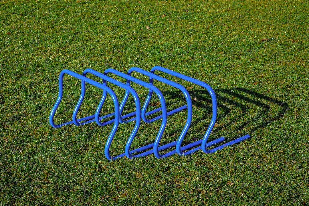 Ensemble de 5 haies - 30 cm