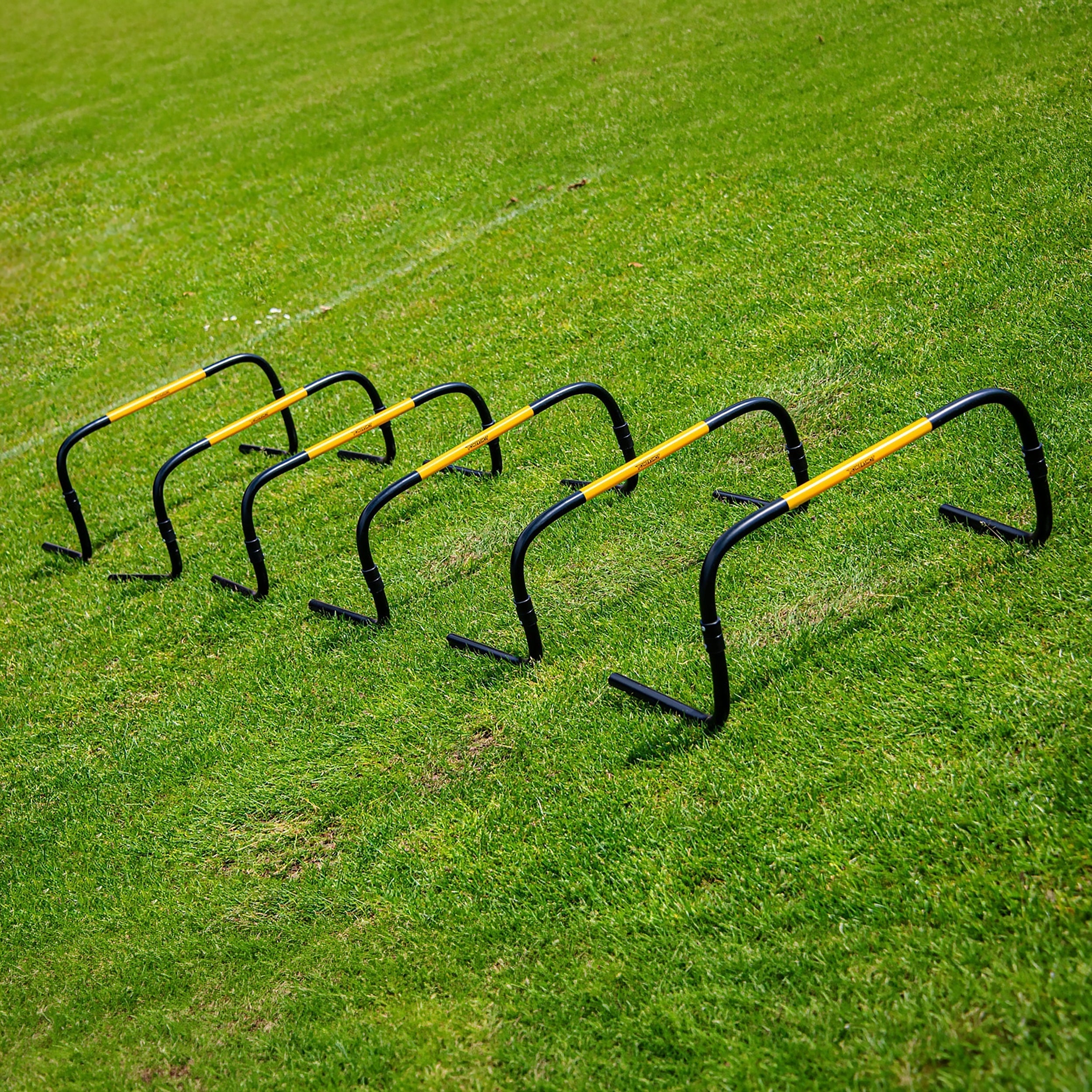 Haies "Self Return" - 20cm - Lot de 6