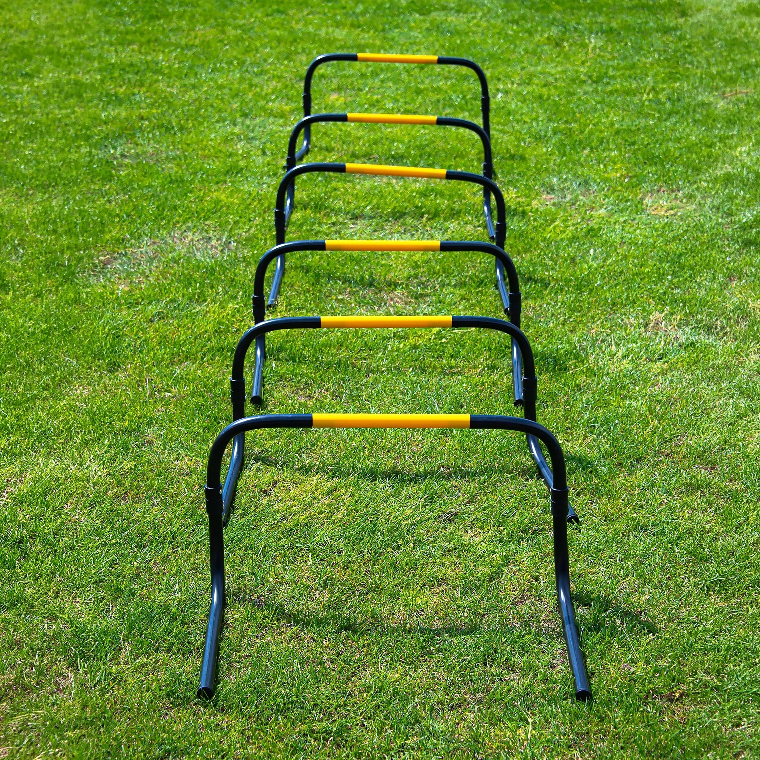 Haies "Self Return" - 20cm - Lot de 6